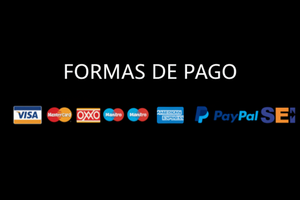 Formas de pagamento profissional para rodapé